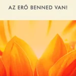 Ajánlat Az erő benned van (Louise L. Hay)