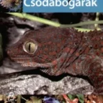 Azonnali szállítás CSODABOGARAK - DIVATOS ÁLLATOK - TÁRSÁLLATOK 3.