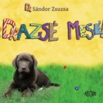 Akciós ár DR. DRAZSÉ MESÉL (Dr Sándor Zsuzsa)