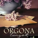 Expressz szállítás Orgonalányok - Martha Hall Kelly