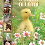 A farm állatai Biztonságos fizetés