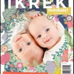 Biztonságos fizetés Ikrek - Mindent az ikrekről