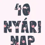Expressz kézbesítés 40 nyári nap - Leiner Laura