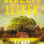 Ajánlat Sebzett lelkek - Clare Leslie Hall