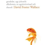 Ez a víz - David Foster Wallace Rendeld meg most