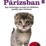 Újdonság EGY MACSKA PÁRIZSBAN - EGY KÜLÖNLEGES MACSKA ÉS TÖKÉLETLEN GAZDIJA IGAZ TÖRTÉNET