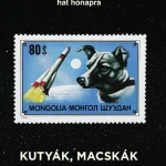 Biztonságos fizetés ALIBI HAT HÓNAPRA 14. - KUTYÁK, MACSKÁK