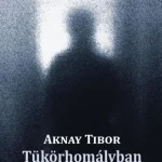 Gyors kiszállítás TÜKÖRHOMÁLYBAN - VERSEK