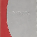 Csak ma BIBLIA (REVIDEÁLT ÚJ FORDÍTÁS, PUHA TÁBLÁS, VARROTT)