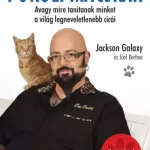 Pokoli macskák - E-könyv Olcsóbb