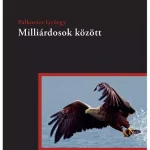 Olcsó Milliárdosok között - E-könyv