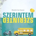 Kiárusítás Szerintem, szerinted - E-könyv