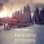 Biztonságos vásárlás Karácsonyi történetek - E-könyv