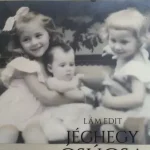 Akciós ár A jéghegy csúcsa - E-könyv