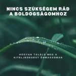 Nincs szükségem rád a boldogságomhoz - E-könyv Expressz szállítás