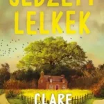 Akciós ár Sebzett lelkek - E-könyv