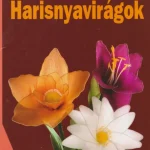 Harisnyavirágok Szuper akció
