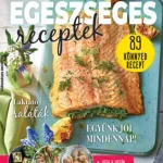 Különleges ajánlat Gasztro Bookazine - Egészséges receptek