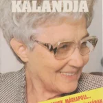Legjobb ár Az egység kalandja