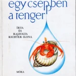 Korlátozott ajánlat Egy cseppben a tenger