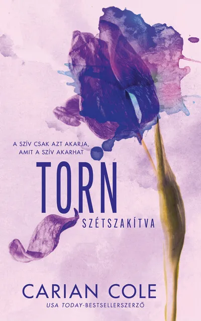 Vásárlói kedvenc Torn - Szétszakítva (éldekorált)