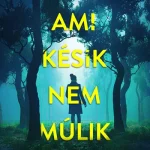 Akciós ár Ami késik, nem múlik