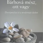 Bárhová mész, ott vagy /Éberségmeditáció a mindennapi életben Kiárusítás
